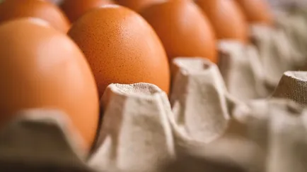 Come leggere le etichette delle uova del supermercato