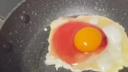 Uovo rosso pseudomonas